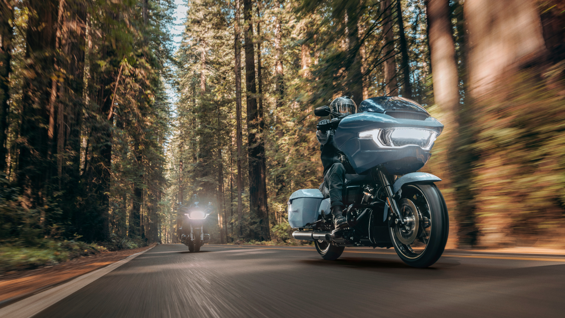 Riders cruising 2025 Harley-Davidson Road Glides through a scenic forest road with tall trees.